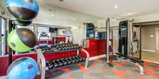 ReNEW Foothills Gallery 24