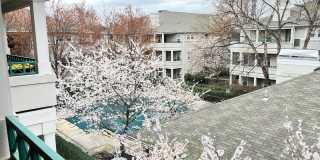 Beautiful 2 bed/2 bath condo in Reston...walk to RESTON TOWN CENTER!! Gallery 15
