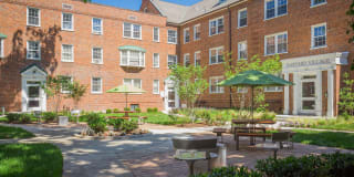 Harvard Village Gallery 10
