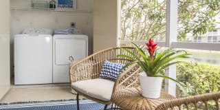 Citation Club Gallery 11