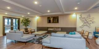 Vineyards Gallery 36