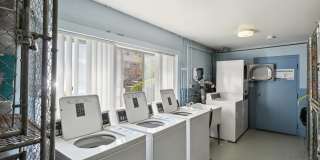 Rochester Square Gallery 43