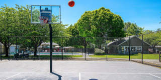 ReNew Dash Point Gallery 57