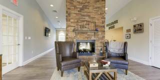 Lee Trace Gallery 13