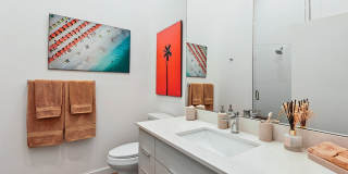 The Tropic Gallery 47
