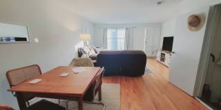 11 Elmwood Street Gallery 6