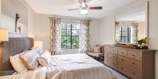 Timberwalk at Mandarin Gallery 17