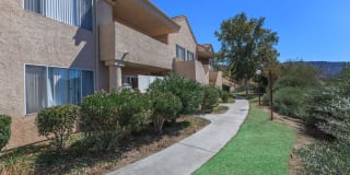 The Terrace Apartments Gallery 10