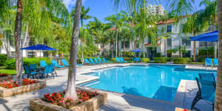 10X Port Royale 10X Port Royale Gallery 7