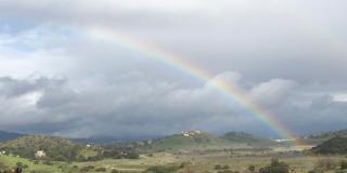 8808 CHATLAKE Dr Gallery 1