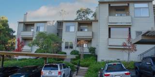 The Ridge Gallery 13