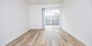 Citrus Gardens Gallery 10