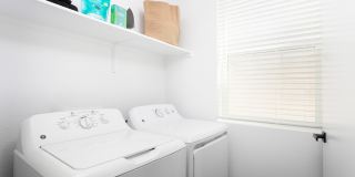 Cyrene at Meadowlands Gallery 16