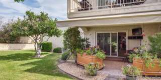 474 Evergreen Ash Gallery 24