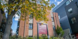 South University Gallery 1