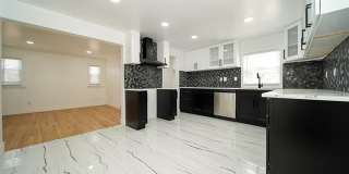 243 Newport Street Gallery 21