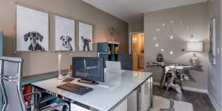The Cosmopolitan Apartments Gallery 23