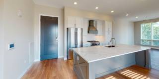 ila Hyde Park Gallery 12