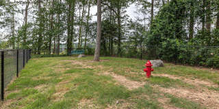 Chenal Commons Gallery 3