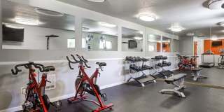 Terra Apartments Gallery 25