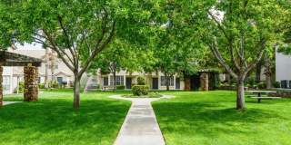 Lifestyles at Los Paseos Apartments Gallery 10