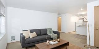 Cedar Park 8 Gallery 1