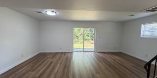 813 Ridge Street - Pet Friendly Charlottesville Home! Gallery 9