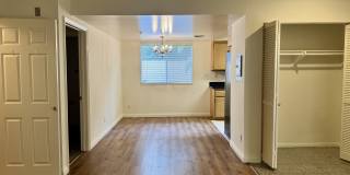 451 South Oakland Avenue - 8 Gallery 3