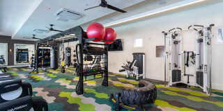 Altura at the Groves Gallery 20