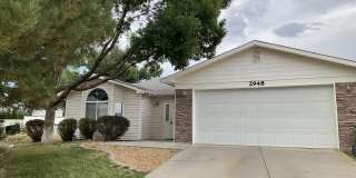 2948 Trinity Peaks Way Gallery 1