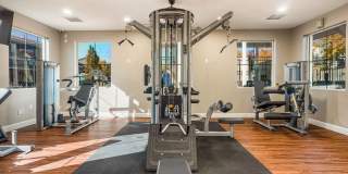 Diamond Mesa Gallery 12