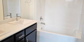 New Construction! Gallery 6
