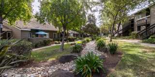 Monte Vista Apartments Gallery 27