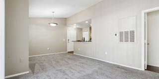 Vista Lake Ned Gallery 45