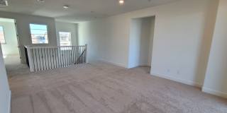 Luxury home in Springlake in Woodland Gallery 36