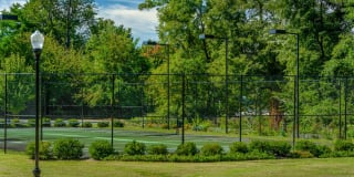 Cavalier Club Gallery 13