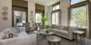 Aria on Cave Creek Gallery 30