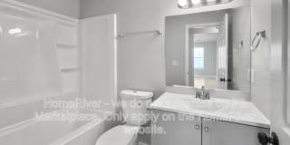 4118 CANDY APPLE Gallery 15