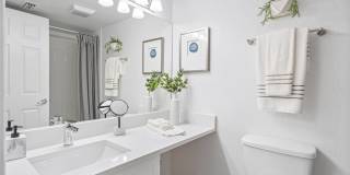 Boca Arbor Club Gallery 28