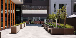 The Launch Gallery 29