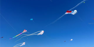 11315 3RD STREET E Gallery 45