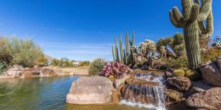 7152 E Night Glow Circle Gallery 137