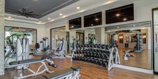 The Tomlin Gallery 24