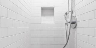 216 Agate Gallery 17