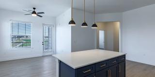 Jasper at Victory Ridge Gallery 18