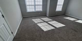 FOR RENT Gallery 19