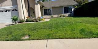 27672 Nopales Gallery 1