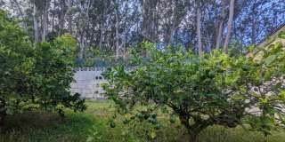 Country living in the City - Huge bonus room, entertainment deck, covered lanai and lots of storage. Gallery 23