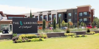 The Landing The Landing Gallery 1