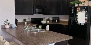 10120 HAWK STORM AVENUE Gallery 8